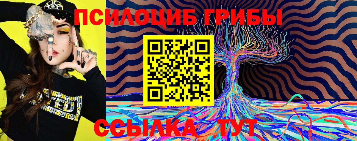 Чебаркуль  Псилоцибиновые грибы GOLDEN TEACHER  Вход с VPN  Псилоцибиновые грибы ЛСД 